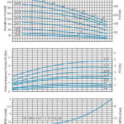 Speroni VS 2-4 mehrstufige vertikale Kreiselpumpe