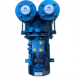 Bomba de vacío de anillo de agua ESV 220/90, 195 m3/h, 5,5 kW, 1450 rpm