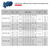 Pompa odśrodkowa monoblokowa ETKF-M 40-125, 3 kW, 3000