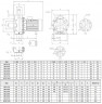 Насос из нержавеющей стали NX32/300 (160), 2,2 кВт, 20 м3/ч, 37м, 220V/M, AISI 304 (EBARA 3M 32-160/2,2)