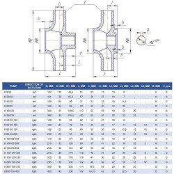 Pompa odśrodkowa K100-65-250a, 37kW, 3000, bez silnika