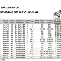 Імпелерний насос для м’якоті LIVERANI RID MAXI 80 +BY-PASS NR TF 4,5-3,3 кВт, 470-235 об/хв, 380В з редуктором, на візку з панеллю управління CE