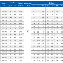 Pompe pour puits profond 8SP77-10, 37kW, 380V