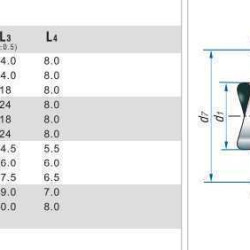 Uszczelnienie mechaniczne (dławica) silnika R-110 30, CAR/CER, VITON, 304