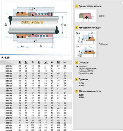 Wellendichtring R-125 24, SIC/SIC, VITON, 316, T20LF