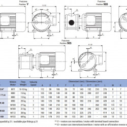 Импеллерный насос для перекачки патоки LIVERANI EP MINI 3/4" CC 12V/M 0,3 кВт/30A, 1400 об/мин
