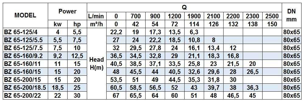BZ 65-160/9.2 Edelstahl-Kreiselpumpe für Ammoniakwasser