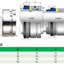 Dichtung  Grundfos Sarlin R-706SS 30, SIC/SIC, VITON, 304