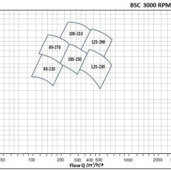 BSC 350-360B, (3000) Double Suction Split Case Pump