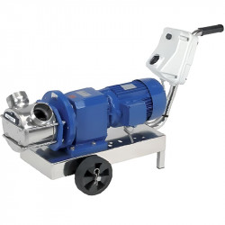 Impeller pump LIVERANI RID MAJOR 60 NR TF 2.2 kW, 235 rpm, 380V with gearmotor with trolley with CE control panel, dry-running protection