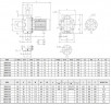 Насос из нержавеющей стали NX40/300 (125), 2,2 кВт, 42 м3/ч, 26,5м, 380V/T, AISI 304 (EBARA 3M 40-125/2,2)