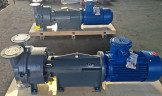 Vacuum pump 2BV6161 Ex (AISI 316)