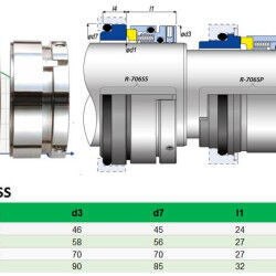 Dichtung  Grundfos Sarlin R-706SS 65, SIC/SIC, VITON, 304