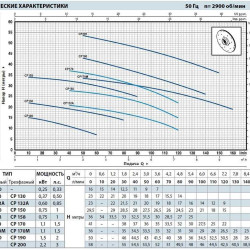 Pompa jest odśrodkowa CP 132A