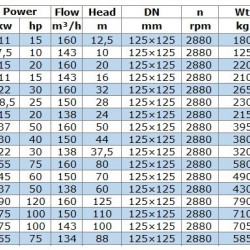 BGW 125-160B (138/24), 15kW, 2880 насос центробіжний горизонтальний