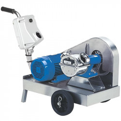 Импеллерный насос LIVERANI GR MINOR 40 NR TF 2,2-1,5 кВт, 700-350 об/мин, 380В ременный на тележке с панелью управления CE, защитой от сухого хода