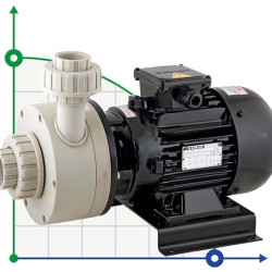 Chemiepumpe DiaPump PA-6600 (1,5 kW)