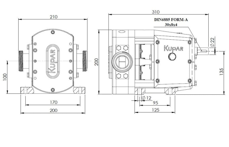 Bomba de levas Kupar KLP de 1 1/2 pulgadas, AISI 316 para vino, aceite, chocolate, glucosa