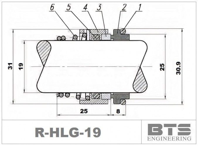 Garniture mécanique pour arbre de pompe Hilge R-HLG 19, CAR/SIC, EPDM, type 304 LIDERING RN/LS60, BURGMANN BT-RN, AESSEAL T03, VULCAN 12, ROTEN 2