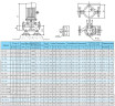 IRG 150-250B Centrifugal pump