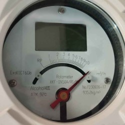 DN50 Stainless steel flowmeter rotameter LZ PN16 (40% alcohol mixture), 0...10 000 l/h, 4-20mA, Ex