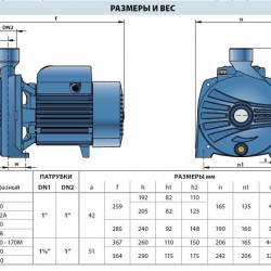 Pompa jest odśrodkowa CPm 170