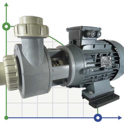 Pumpe für chemische Säure DiaPump PA-4550 (5,5 kW)