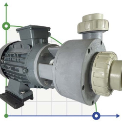 Pumpe für chemische Säure DiaPump PA-4550 (5,5 kW)
