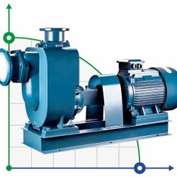 Selbstansaugende Schmutzwasserpumpe BZWM100-80-45/2, 30kW, 2900