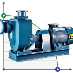 Explosionsgeschützte selbstansaugende Pumpe BZWB 65-40-25/2, 7,5kW, 2900, Ex, imp:AISI 304