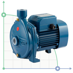 Pompa jest odśrodkowa CP 170
