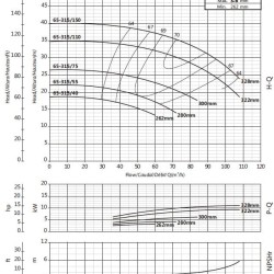 Cantilever pump for water supply BS4 65-315/55 (45/20.2), 5.5kW, 1450 without motor