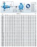 Umwälzkonsolenpumpe BSM4 150-315/750 (400/40,9), 75 kW, 1450