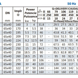 Консольний насос BS 40-315/300, AISI 304, 2900, без двигуна