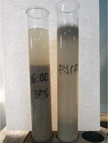 Centrífuga decantadora especial HAUS DECANTER DDI 3042 para separar la suspensión de cebada