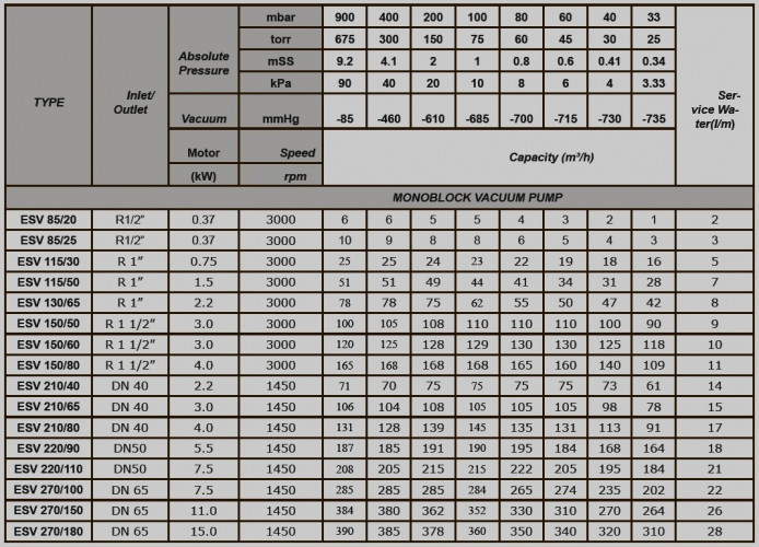 Водокольцевой вакуумный насос ESV 150/60, 130 м3/ч, 3 кВт, 3000 об/мин