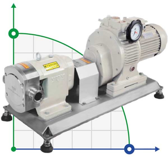 RLP-Z-15L, AISI 304, 2,2 kW, 380V 50HZ 3P hygienic rotary vane pump