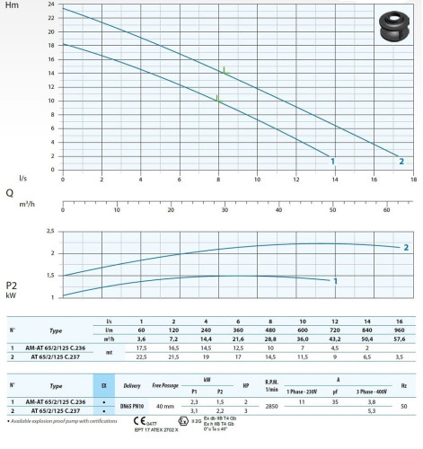Tauchmotorpumpe Dreno AT 65/2/125 C.236 mit offenem Einkanal-Laufrad