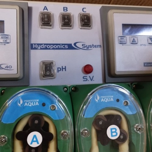 Culture hydroponique, système hydroponique SYSTÈME HYDROPONIQUE