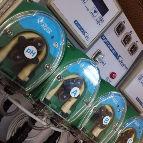 Culture hydroponique, système hydroponique SYSTÈME HYDROPONIQUE