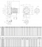 Edelstahlpumpe für Wasserversorgung NX50/1250 (200), 9,3 kW, 72 m3/h, 53m, 380V/T, AISI 304 (EBARA 3M 50-200/9.2)