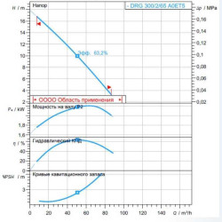 Насос DRG 300/2/65 A0ET5 NC Q TS 2SIC 10 400 V (Zenit)