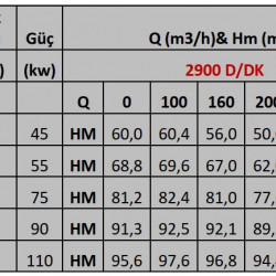 Einstufige Konsolenpumpe ENP 100–250, 55 kW, 2900 U/min auf Rahmen mit Motor