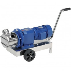 Импеллерный насос для краски, клея, чернил LIVERANI RID MAXI 80 NR TF 4,5-3,3 кВт, 600-300 об/мин, 380В с редуктором, на тележке