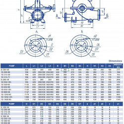 Pompy dwustrumieniowe 1D250-125, 1500, bez silnika