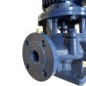 IRG BGL 25-125 (4/20), 0,75kW, 2880 odśrodkowa pompa pionowa