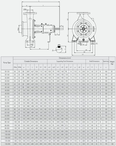 Насос для перегретого масла BTKF-K 40-200 (1500) без двигателя