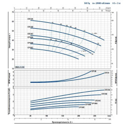 Pompa jest odśrodkowa CP 220C