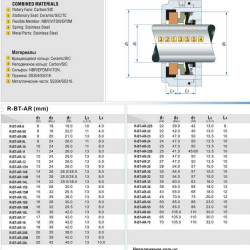 Mechanical seal R-BT-AR 8, M, CAR/SIC, EPDM, 304