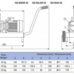 Impeller pump LIVERANI RID MAJOR 60 +BY-PASS NR TF 2.2 kW, 350 rpm, 380V with gearmotor with trolley with control panel CE, dry running protection